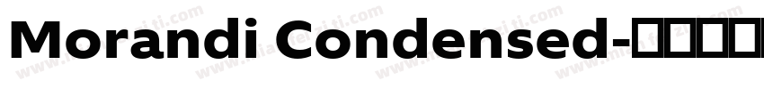 Morandi Condensed字体转换
